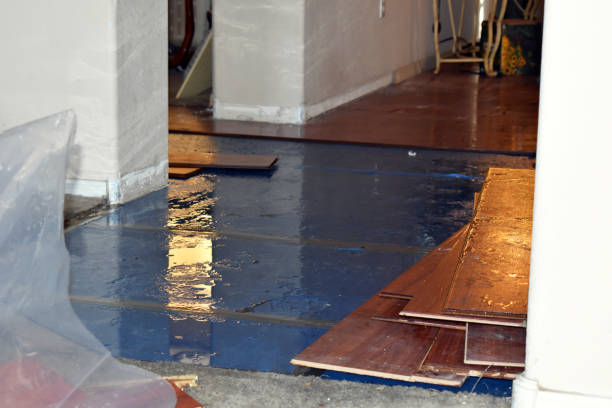 Professional Water Damage Restoration technician working in Mount Olive, NC