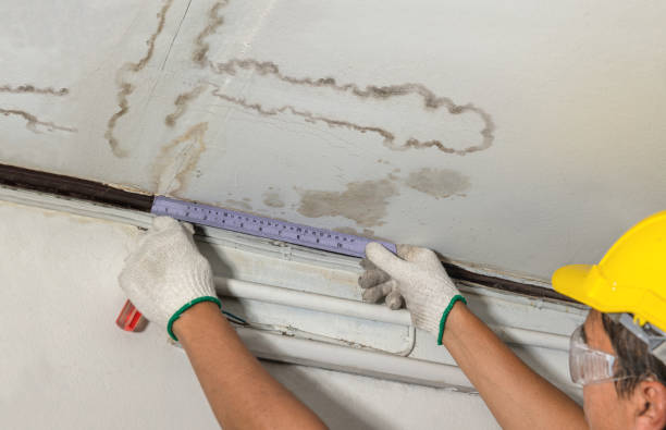 Reliable Water Damage Restoration contractor in Mount Olive, NC by Water Damage Irwin